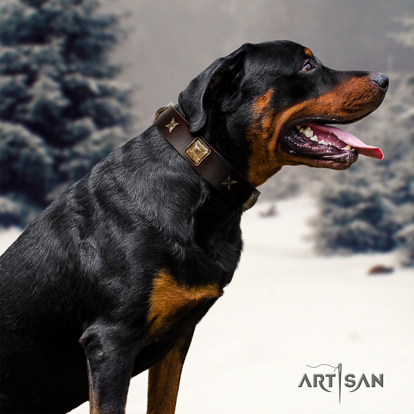 Rottweiler handy use genuine leather collar for your handsome pet