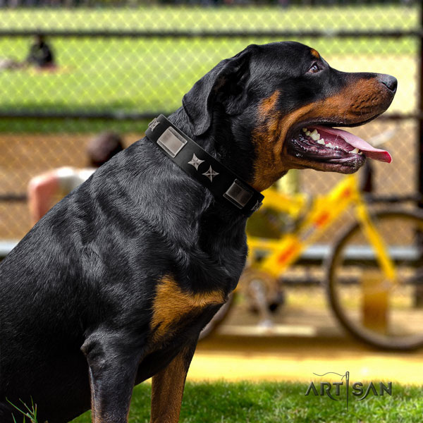 Rottweiler handcrafted collar with trendy decorations for your four-legged friend