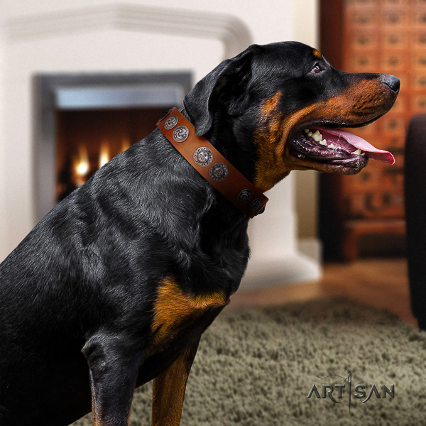 Rottweiler everyday walking full grain genuine leather collar for your impressive dog