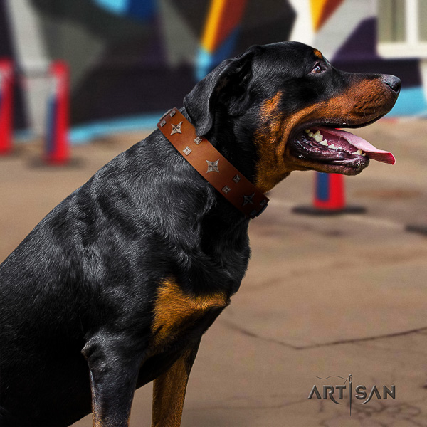Rottweiler basic training full grain genuine leather collar for your stylish dog