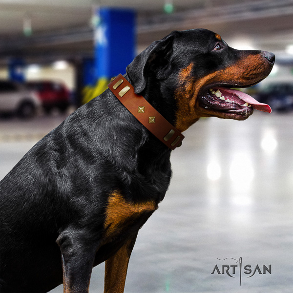 Rottweiler fancy walking leather collar for your attractive doggie