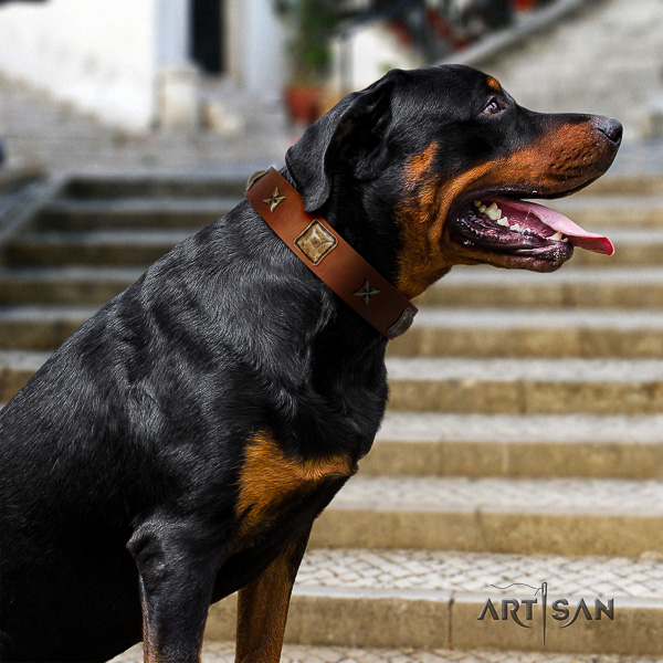 Rottweiler basic training full grain genuine leather collar for your impressive dog