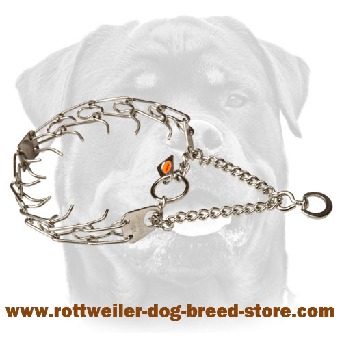 Buy hotsell prong collar