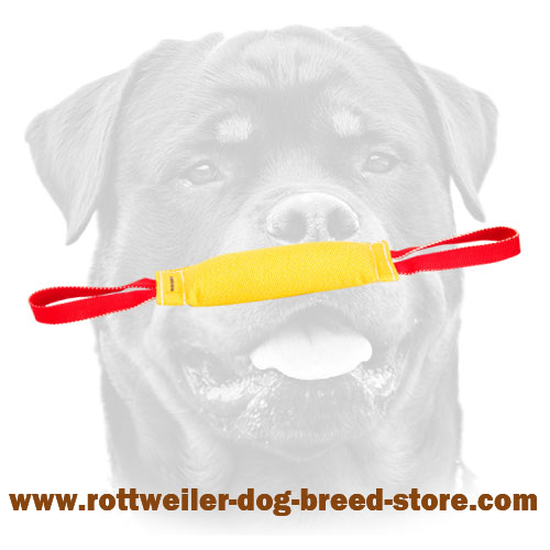 https://www.rottweiler-dog-breed-store.com/images/large/Rottweiler-bite-tug-french-linen-2-handles-retrieve-TE352_LRG.jpg