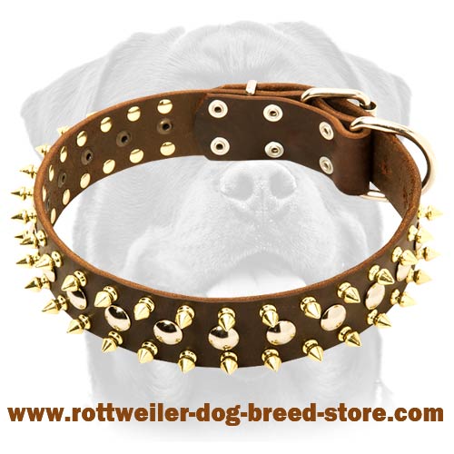 Heavy Duty Dog Collar for Active Dogs
