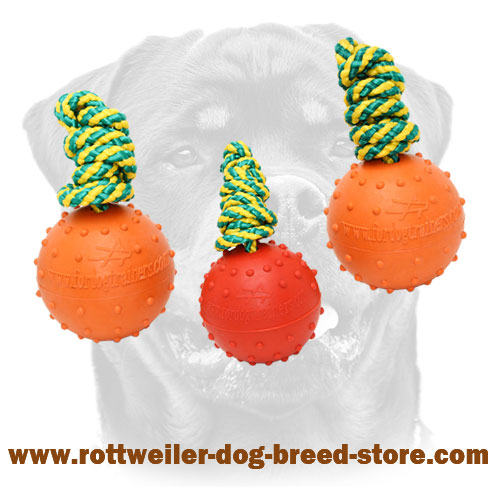 Rubber Squeaky Ball Dog Toy - 2 1/3 inch (6 cm)