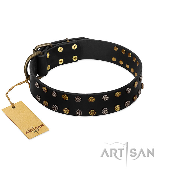Amazing genuine leather dog collar with reliable embellishments