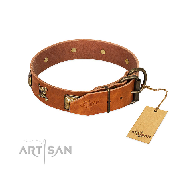 Top notch leather dog collar with reliable adornments