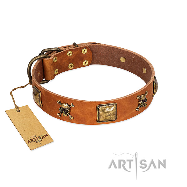 Designer full grain natural leather dog collar with reliable studs
