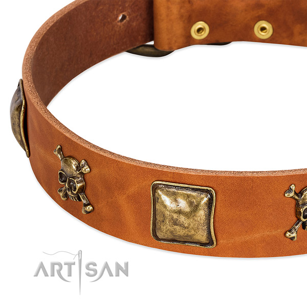 Unique genuine leather dog collar with strong decorations