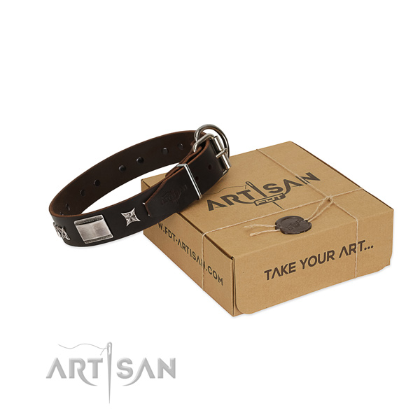 Handcrafted collar of full grain leather for your stylish pet