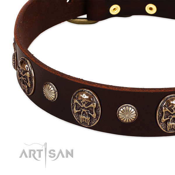 Leather dog collar with embellishments for comfy wearing