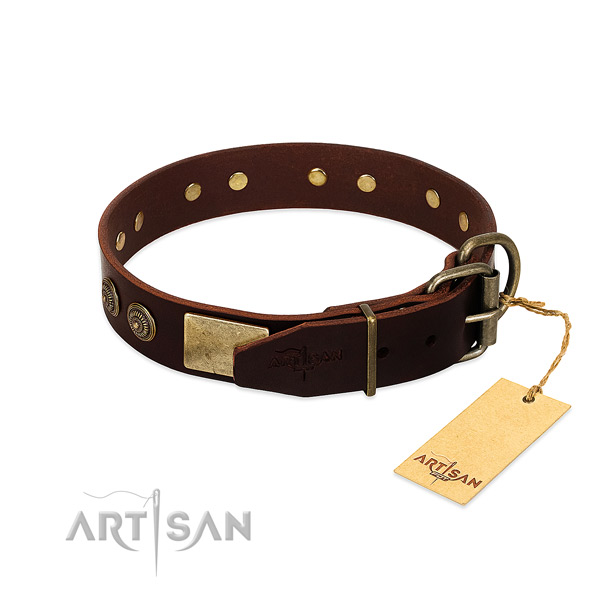 Corrosion resistant decorations on full grain natural leather dog collar for your canine