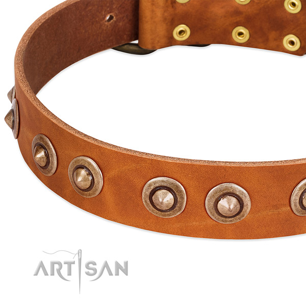Corrosion proof decorations on full grain genuine leather dog collar for your canine