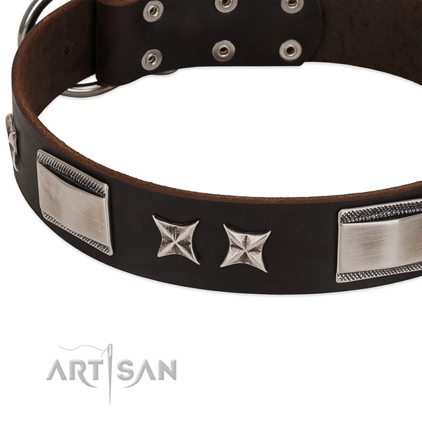 Gentle to touch leather dog collar with strong fittings