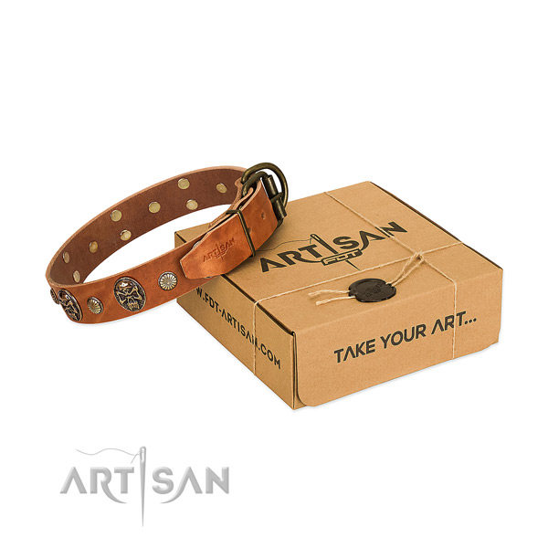 Durable traditional buckle on full grain genuine leather dog collar for walking