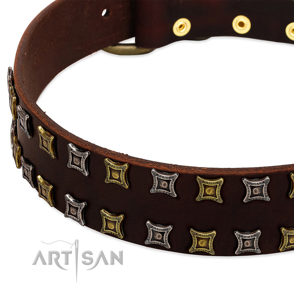 High quality natural leather dog collar for your beautiful pet