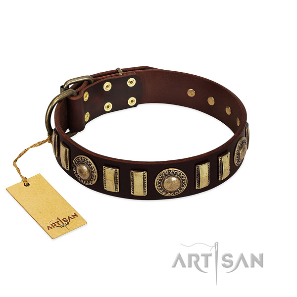 Reliable natural leather dog collar with durable hardware