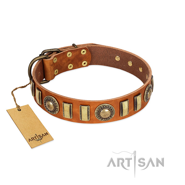 Trendy full grain genuine leather dog collar with reliable D-ring