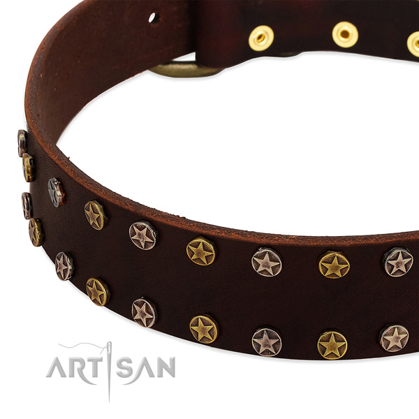 Comfy wearing natural leather dog collar with significant embellishments
