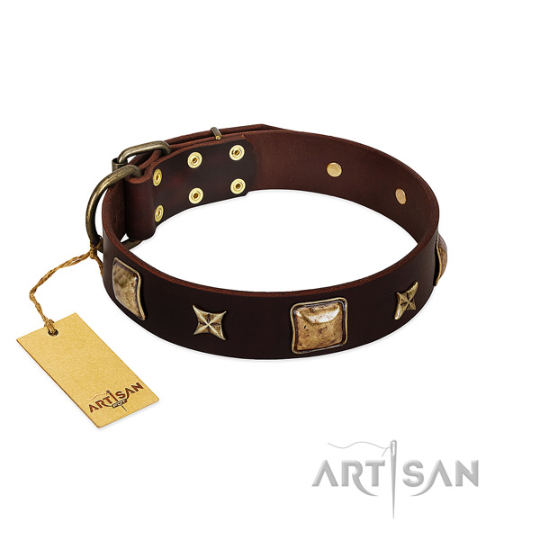 Designer full grain natural leather collar for your four-legged friend