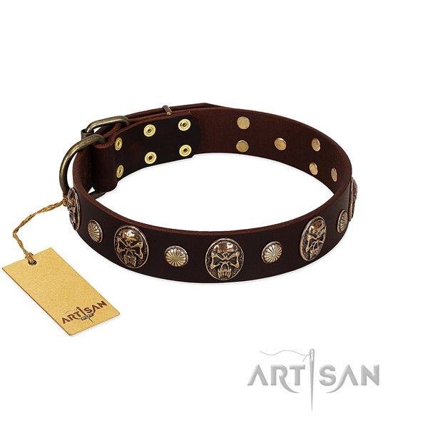 Exquisite full grain leather dog collar for daily use
