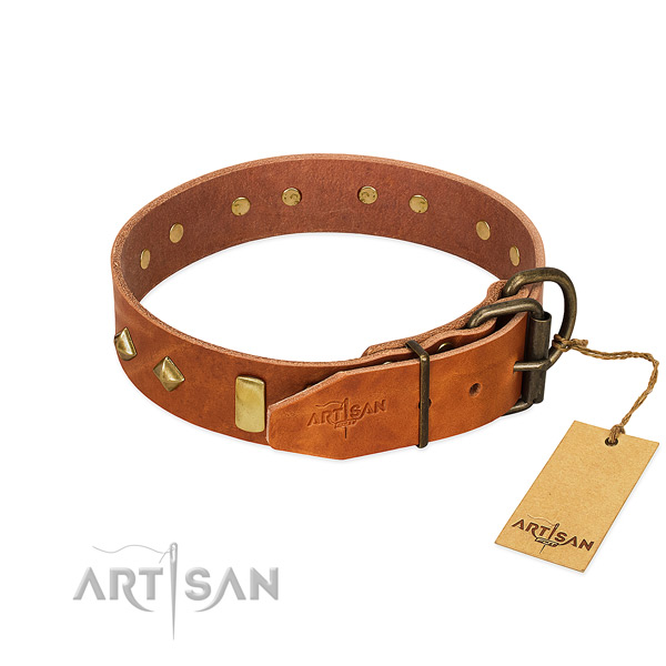 Everyday use genuine leather dog collar with exquisite embellishments