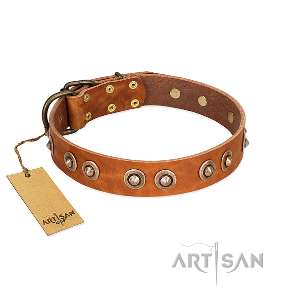 Durable decorations on leather dog collar for your doggie
