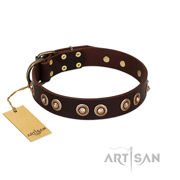 Corrosion proof buckle on leather dog collar for your pet