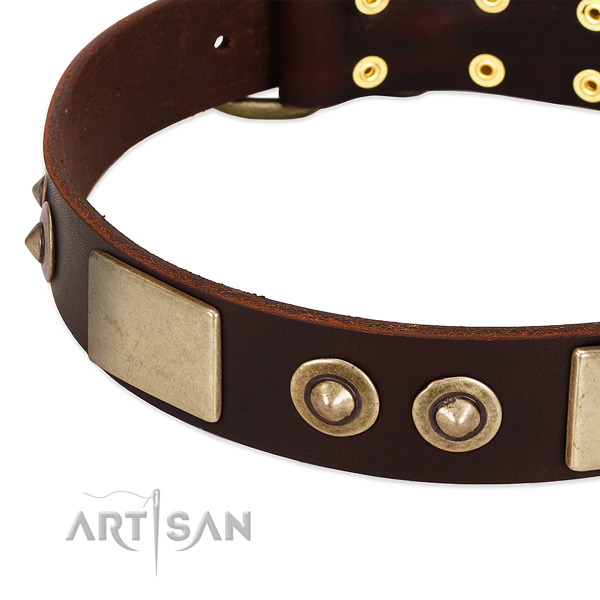 Reliable traditional buckle on genuine leather dog collar for your pet