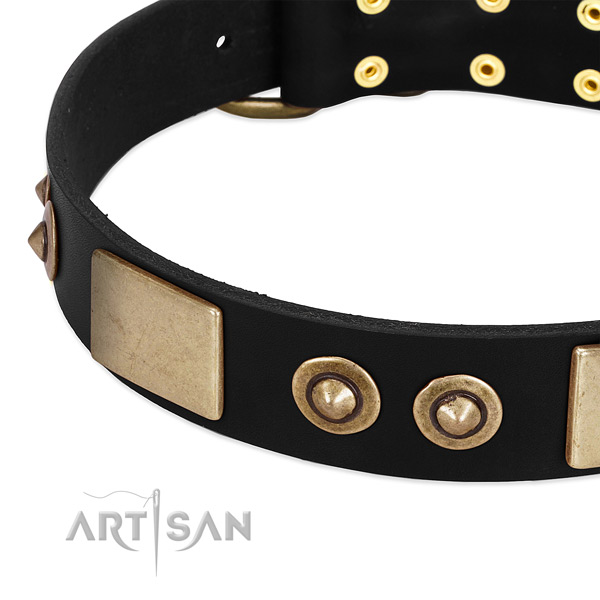Durable studs on full grain leather dog collar for your doggie