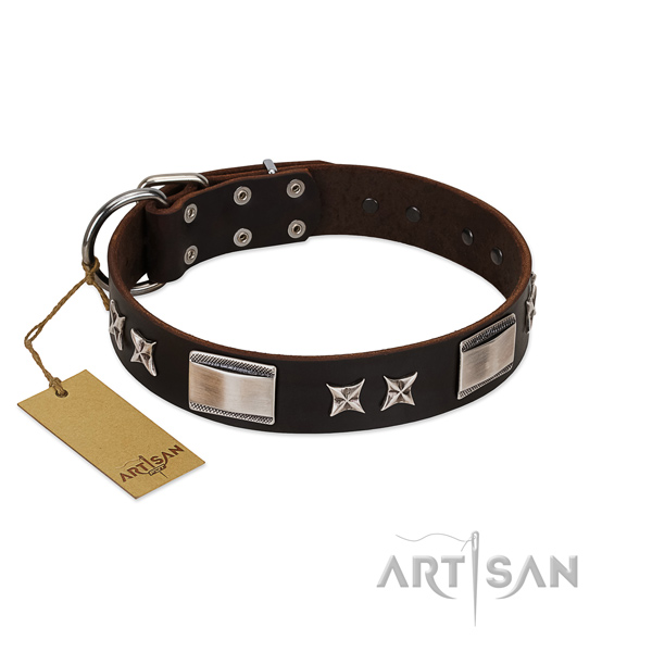 Unusual dog collar of leather