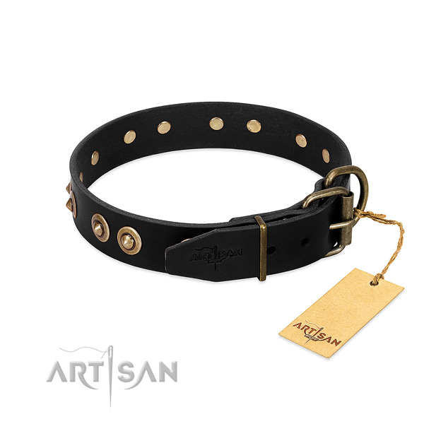 Durable decorations on full grain leather dog collar for your doggie