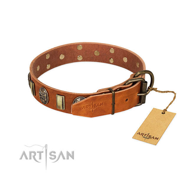 Leather dog collar with corrosion proof fittings and studs