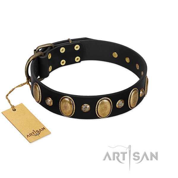 Full grain natural leather dog collar of reliable material with significant studs