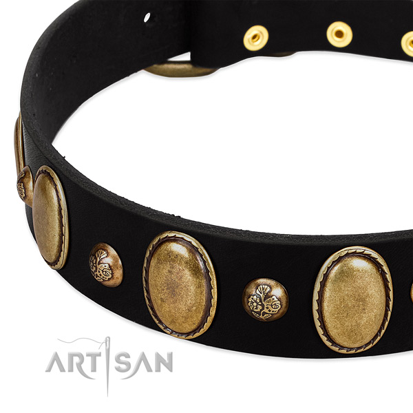Natural leather dog collar with remarkable adornments