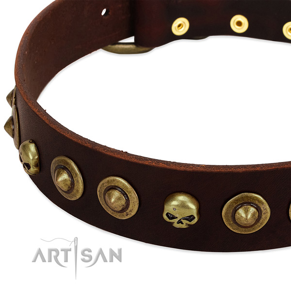 Fashionable adornments on natural leather collar for your doggie
