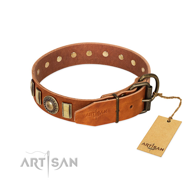 Unusual full grain genuine leather dog collar with corrosion resistant hardware
