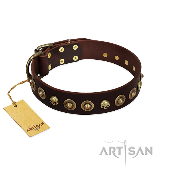 Natural leather collar with trendy adornments for your dog