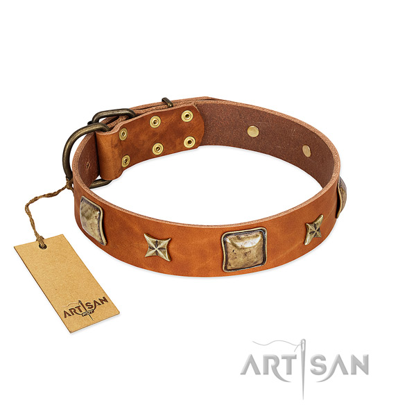 Adorned full grain leather collar for your canine