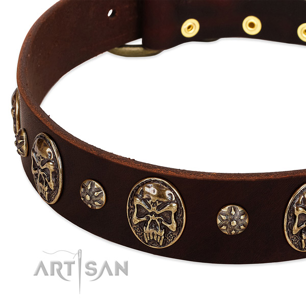 Rust resistant studs on full grain genuine leather dog collar for your canine