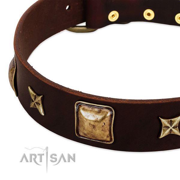 Durable fittings on genuine leather dog collar for your dog