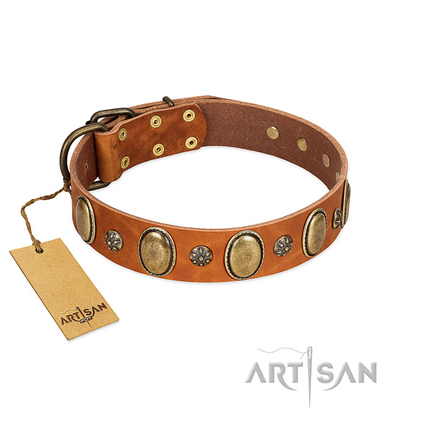 Comfortable wearing top notch genuine leather dog collar with decorations
