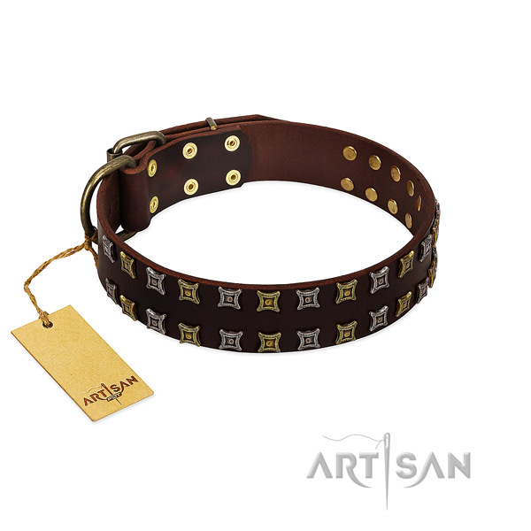 Soft to touch full grain natural leather dog collar with decorations for your doggie