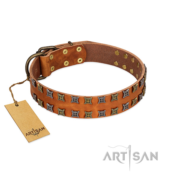 Durable full grain leather dog collar with adornments for your four-legged friend