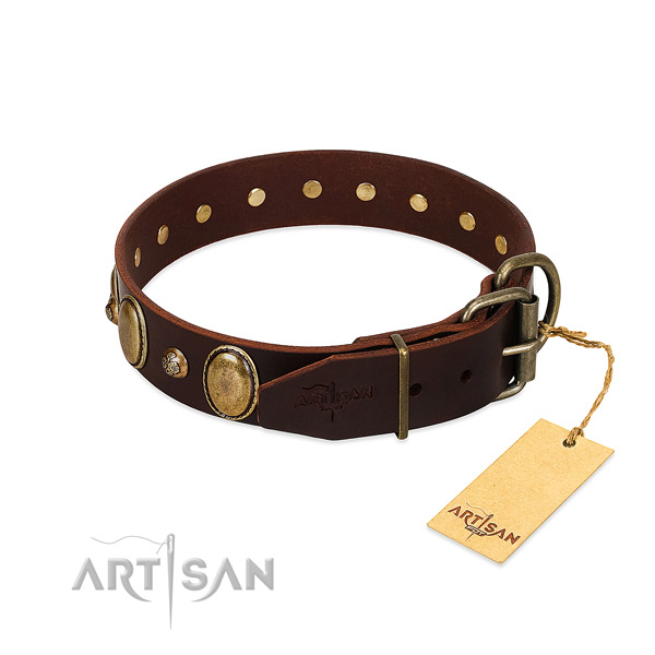 Rust-proof traditional buckle on leather collar for stylish walking your canine