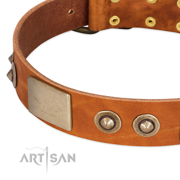 Corrosion proof adornments on full grain leather dog collar for your four-legged friend