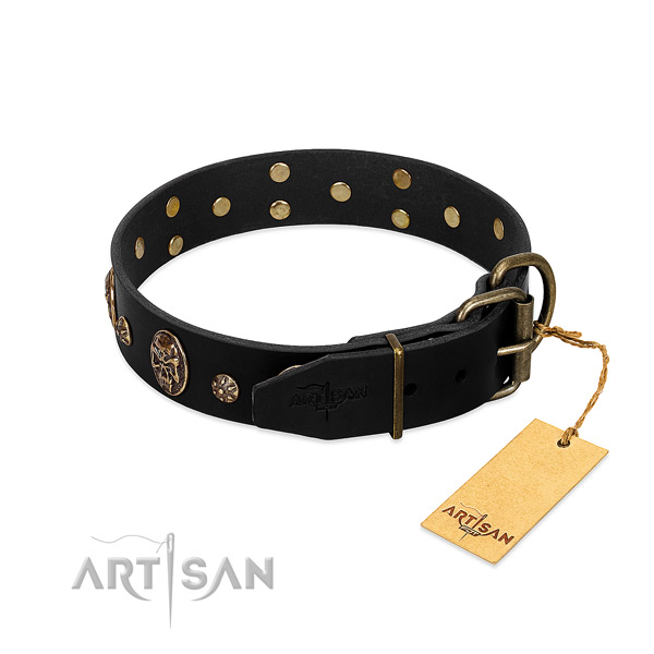 Reliable embellishments on full grain natural leather dog collar for your doggie