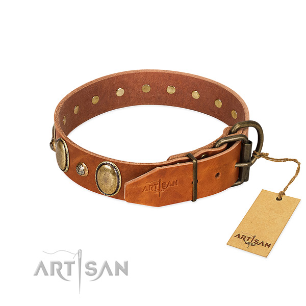 Trendy full grain natural leather dog collar with durable hardware