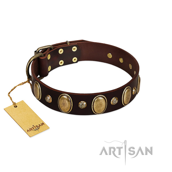 Full grain natural leather dog collar of soft to touch material with significant studs